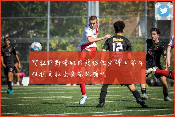 阿拉斯凯塔肌肉受伤但无碍世界杯征程乌拉圭国家队确认